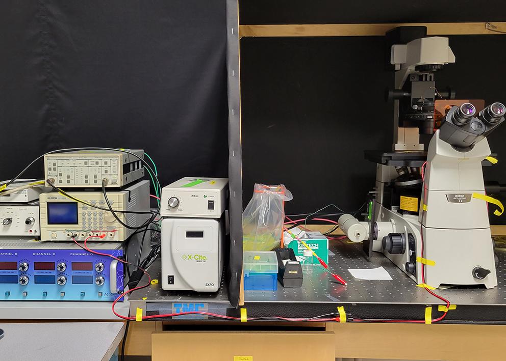 microscope and other equipment as part of microchip analysis system
