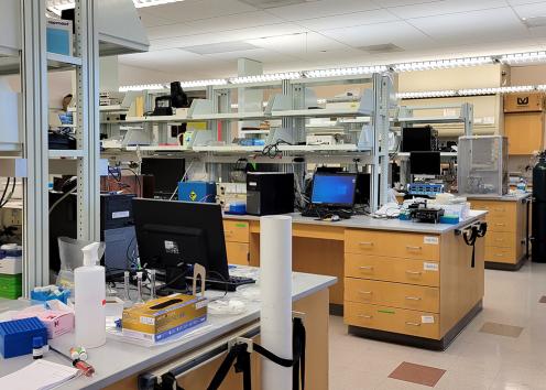 interior of Lunte group research laboratory